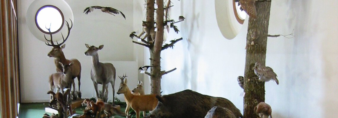 Natur- und Jagdmuseum Pappenheim