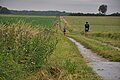 Altmühlfrankenlauf 2016