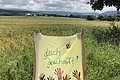 Selbstgemaltes Schild zur Anfeuerung