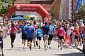 Altmühlfrankenlauf 2019