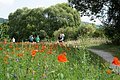 Altmühlfrankenlauf 2018