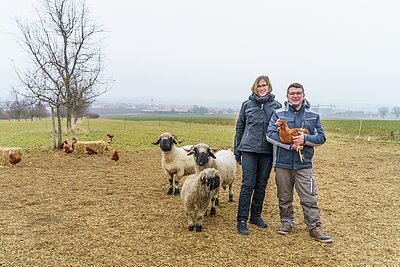 Weide Altmühltaler Wiesen Ei