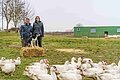 Weitläufige Gehege beim Altmühltaler Wiesen Ei